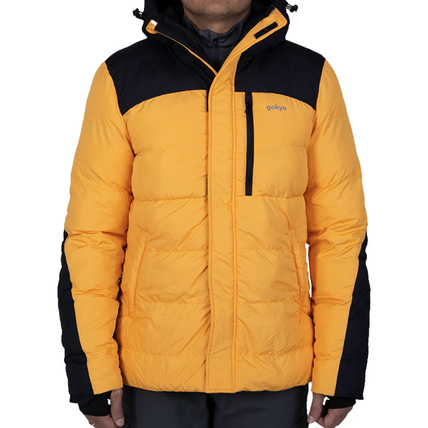 Annapurna Down Jacket