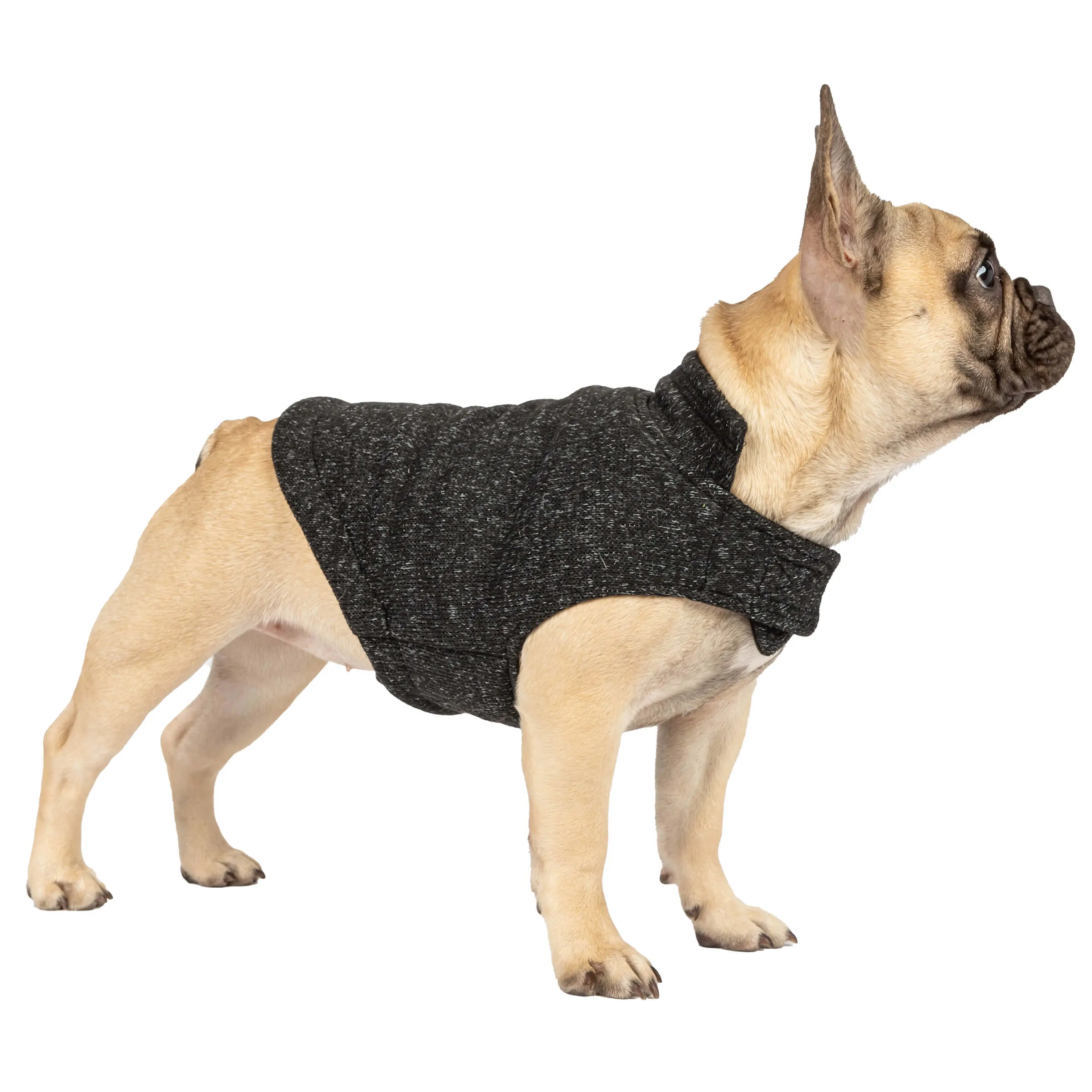 Dog Mountain Fleece Jacket