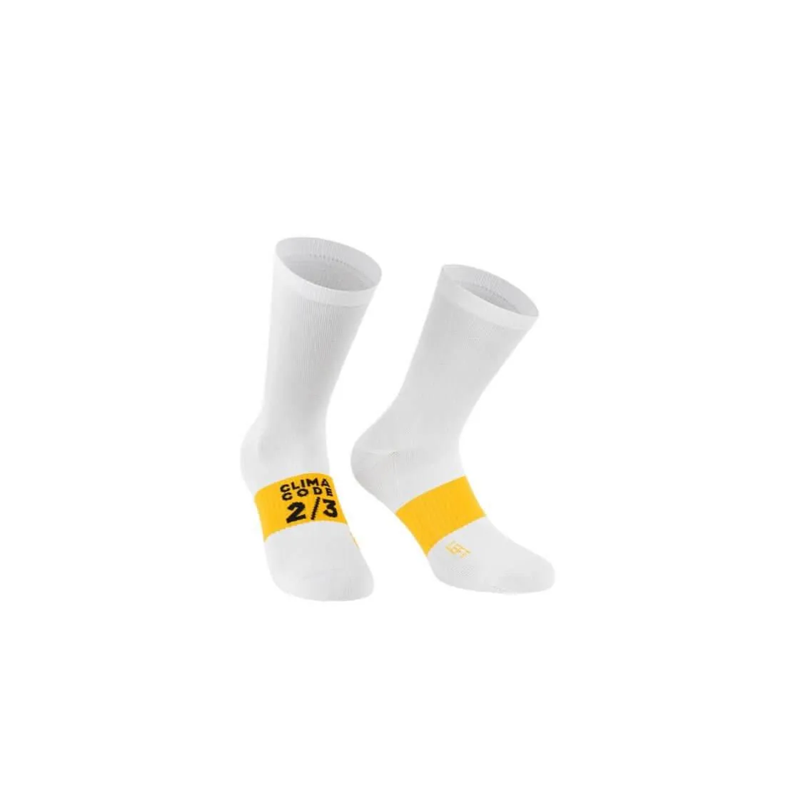 Spring Fall Socks EVO