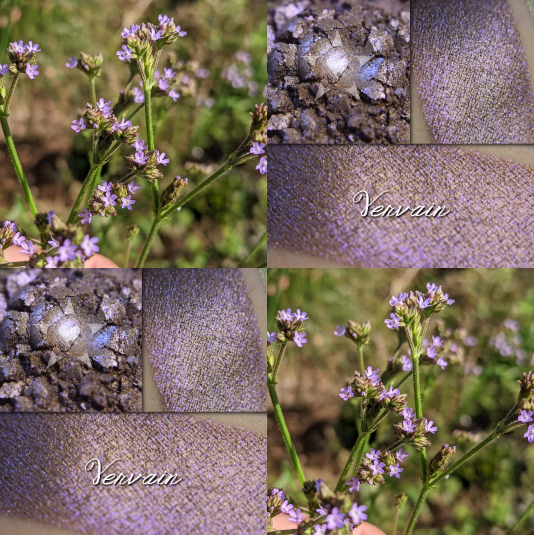 VERVAIN - EYESHADOW